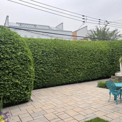 515287719_122139814454729968_5912151770142468559_n