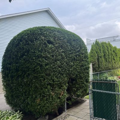 515954982_122139814466729968_4345248125946329326_n