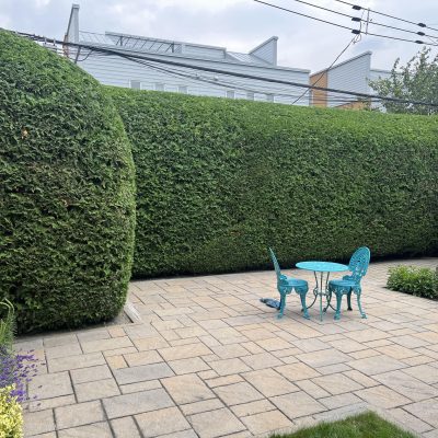 531844924_122148202892729968_7151629595122804226_n