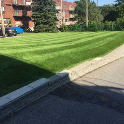 566199329_122158169300729968_7905853643867552936_n